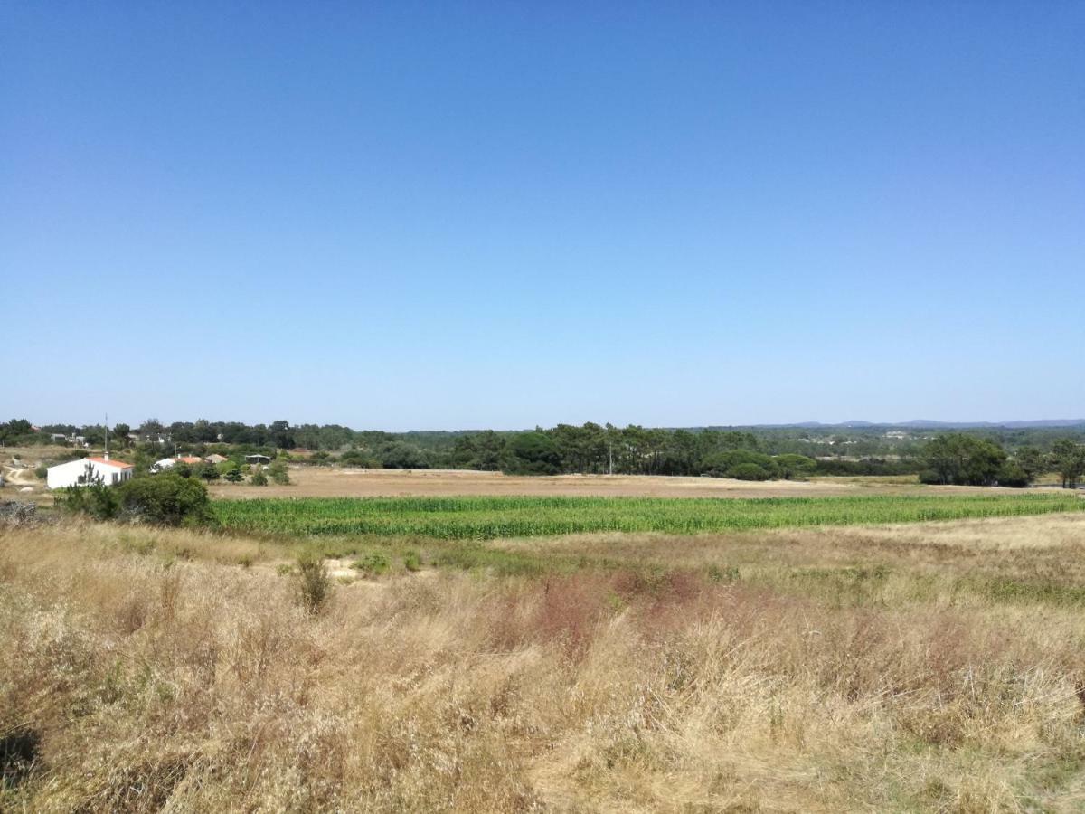 הוילה רוז'יל Casa Pompona 3 מראה חיצוני תמונה